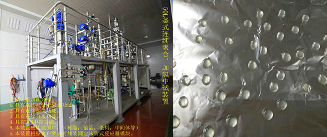 祝賀國內(nèi)首套釜式連續(xù)加氫中試成套裝置一次出料成功！.jpg